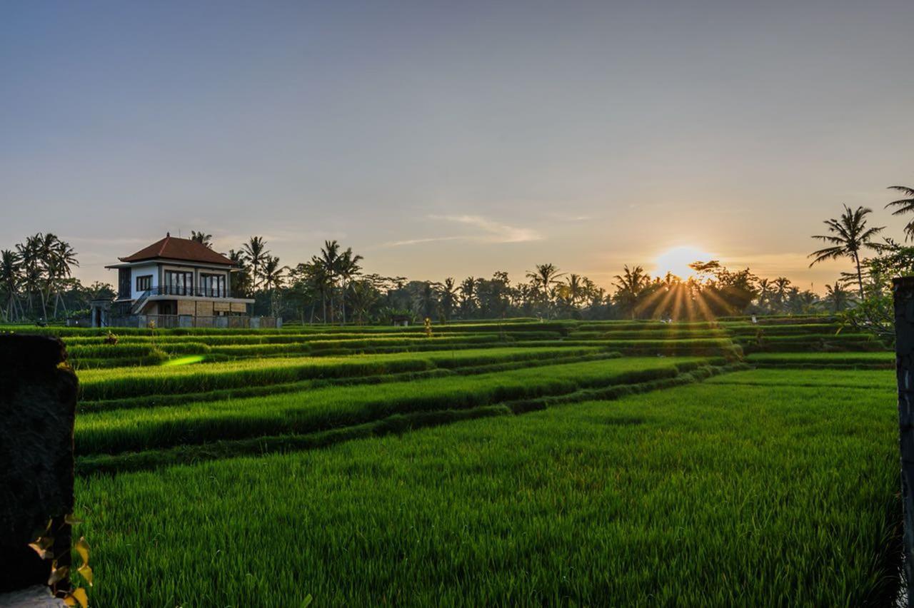 Pondok Anastasia Ubud Exterior foto